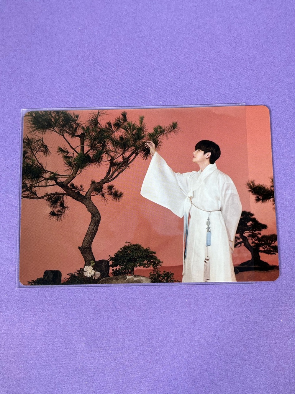 BTS Kim Taehyung V Official Dalmajung Mini Photocard 41/56